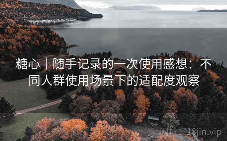 糖心|随手记录的一次使用感想:不同人群使用场景下的适配度观察