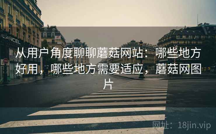 从用户角度聊聊蘑菇网站：哪些地方好用，哪些地方需要适应，蘑菇网图片