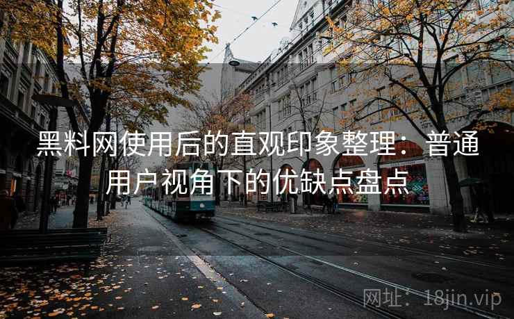黑料网使用后的直观印象整理:普通用户视角下的优缺点盘点