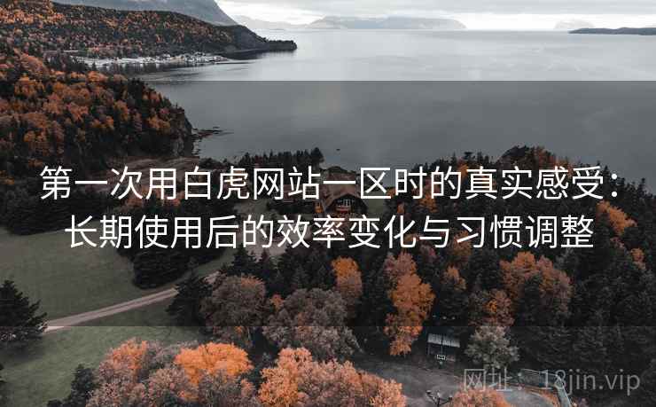 第一次用白虎网站一区时的真实感受:长期使用后的效率变化与习惯调整