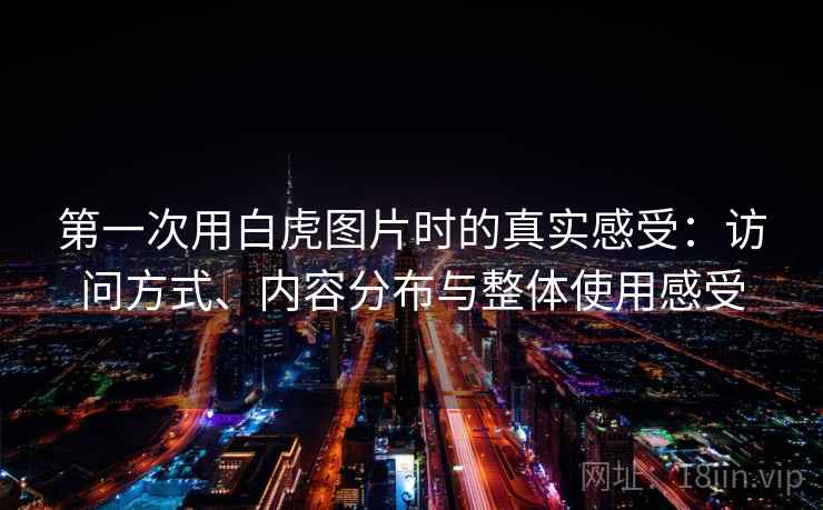 第一次用白虎图片时的真实感受：访问方式、内容分布与整体使用感受