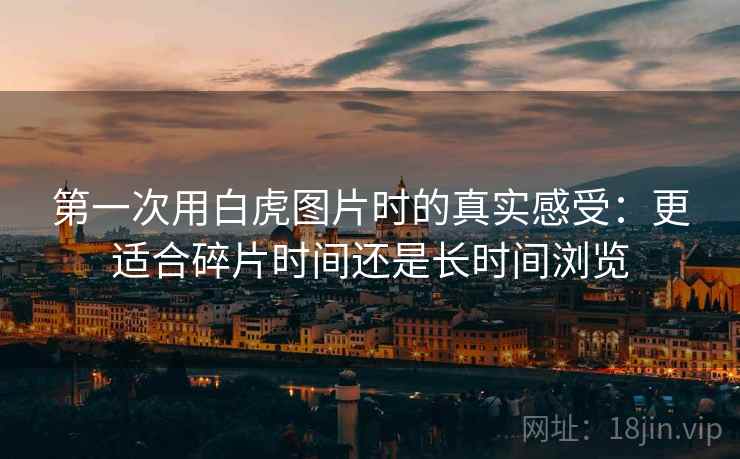 第一次用白虎图片时的真实感受:更适合碎片时间还是长时间浏览