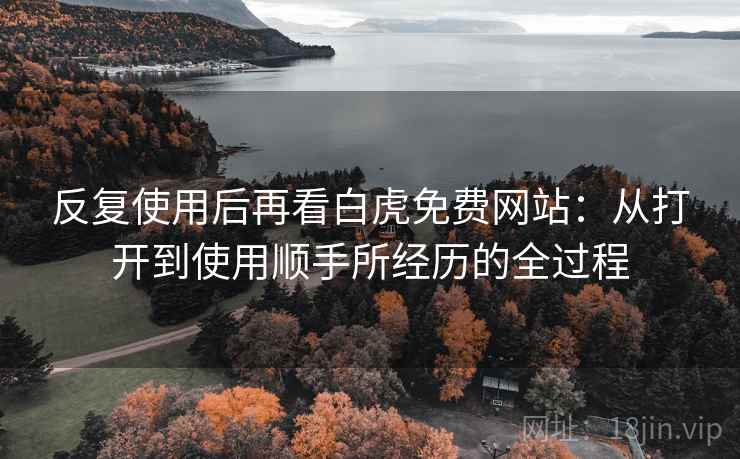 反复使用后再看白虎免费网站:从打开到使用顺手所经历的全过程
