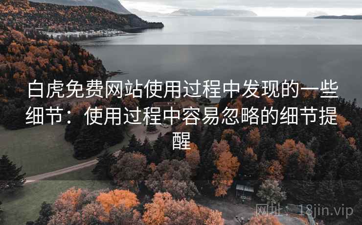 白虎免费网站使用过程中发现的一些细节：使用过程中容易忽略的细节提醒