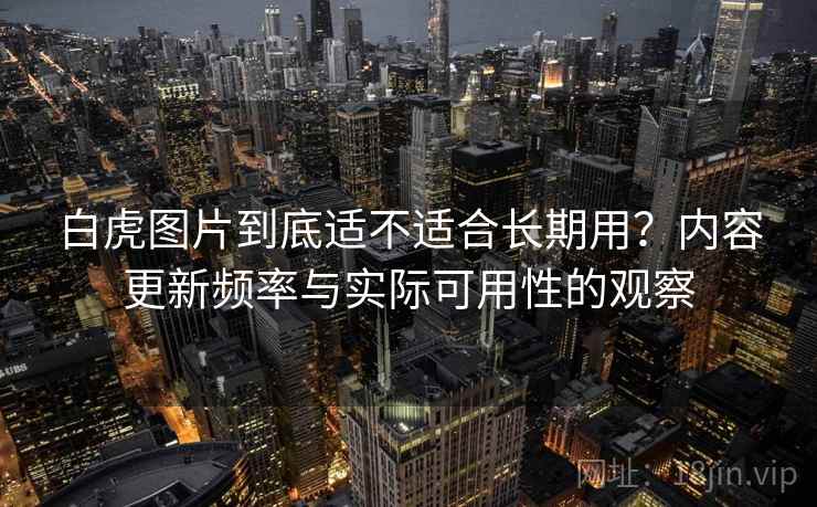 白虎图片到底适不适合长期用?内容更新频率与实际可用性的观察