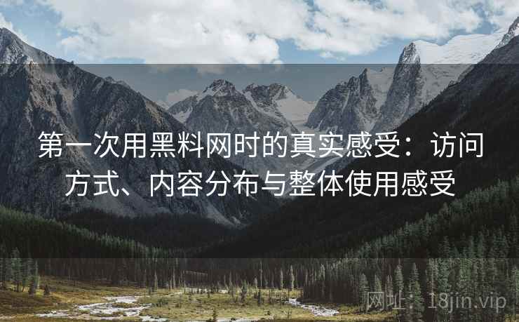 第一次用黑料网时的真实感受:访问方式、内容分布与整体使用感受