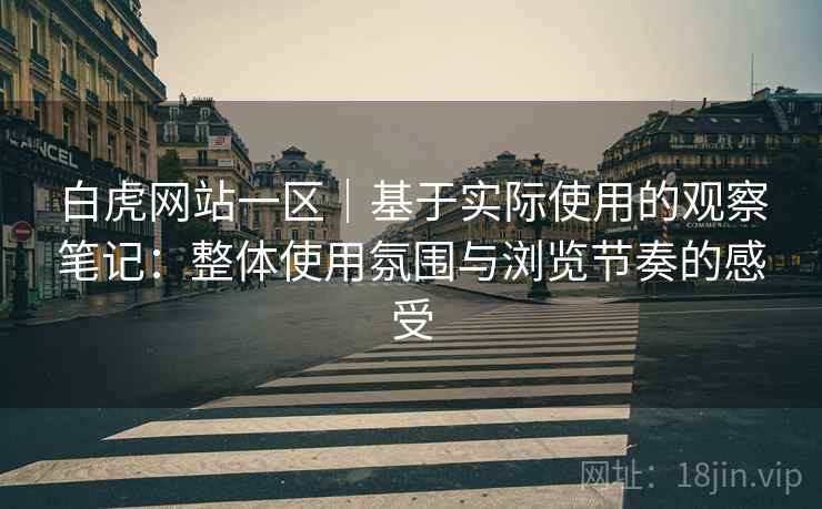 白虎网站一区｜基于实际使用的观察笔记：整体使用氛围与浏览节奏的感受