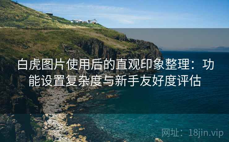 白虎图片使用后的直观印象整理:功能设置复杂度与新手友好度评估
