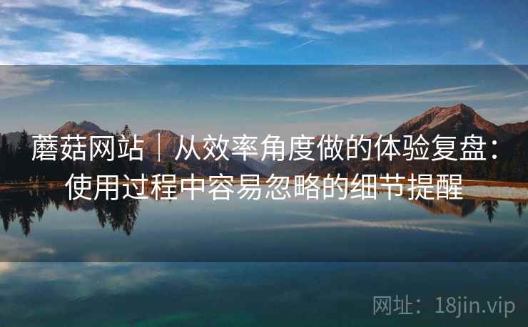 蘑菇网站｜从效率角度做的体验复盘：使用过程中容易忽略的细节提醒