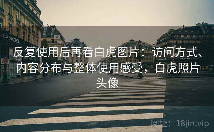 反复使用后再看白虎图片:访问方式、内容分布与整体使用感受,白虎照片头像