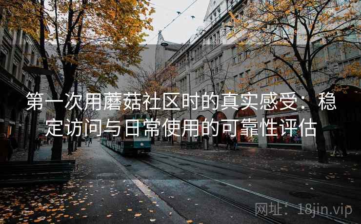 第一次用蘑菇社区时的真实感受:稳定访问与日常使用的可靠性评估