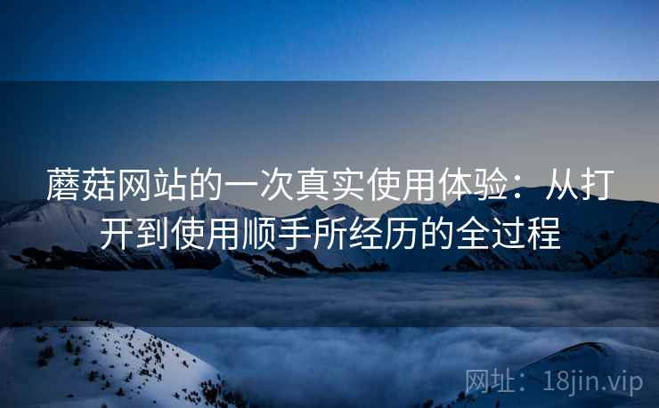 蘑菇网站的一次真实使用体验:从打开到使用顺手所经历的全过程