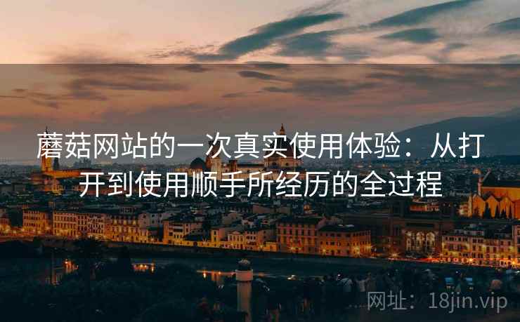 蘑菇网站的一次真实使用体验:从打开到使用顺手所经历的全过程