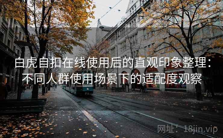 白虎自扣在线使用后的直观印象整理:不同人群使用场景下的适配度观察