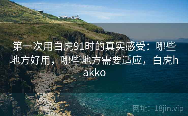第一次用白虎91时的真实感受:哪些地方好用,哪些地方需要适应,白虎hakko