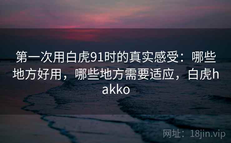 第一次用白虎91时的真实感受:哪些地方好用,哪些地方需要适应,白虎hakko