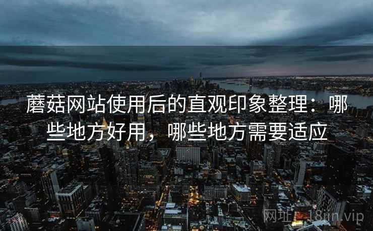 蘑菇网站使用后的直观印象整理:哪些地方好用,哪些地方需要适应