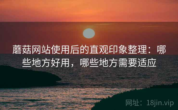 蘑菇网站使用后的直观印象整理:哪些地方好用,哪些地方需要适应