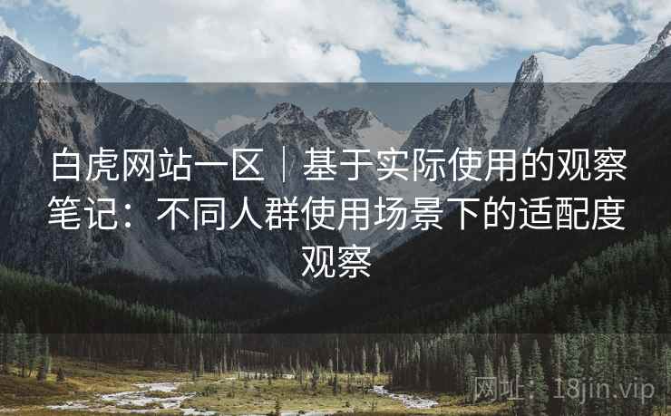 白虎网站一区|基于实际使用的观察笔记:不同人群使用场景下的适配度观察