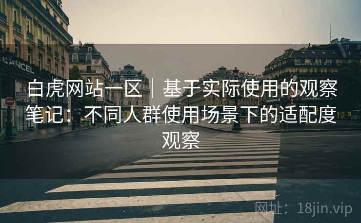 白虎网站一区|基于实际使用的观察笔记:不同人群使用场景下的适配度观察